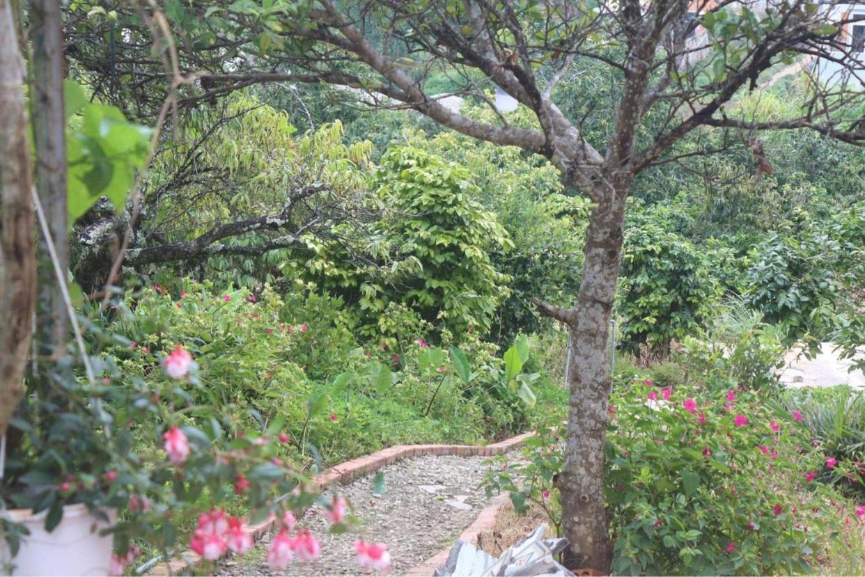 Thang Nam Ruc Ro - Dalat Homestay Exterior photo